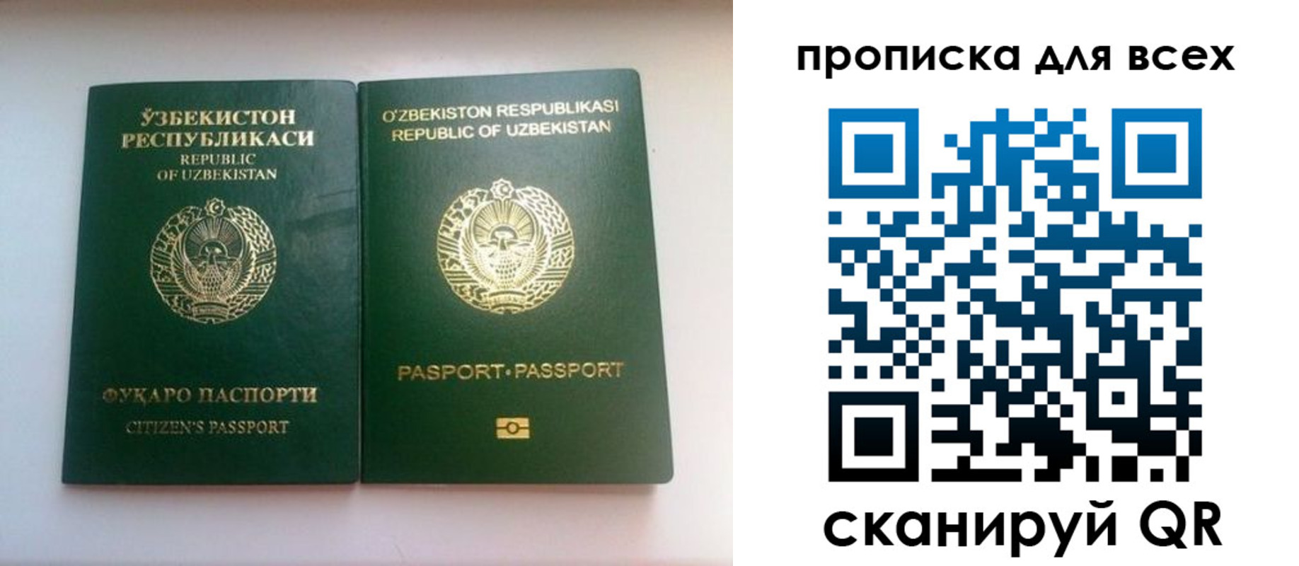 прописка для школы в Болхове